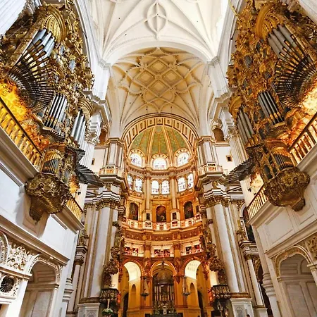 Amplio Y Centrico, Recien Reformado, Calefaccion Central, Jardines, Supermercados, Cafeterias Y Todos Servicios En El Corazon De La Ciudad Granada